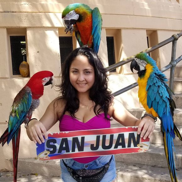 Meet your Posher, Cindy - Picture 1 of 2